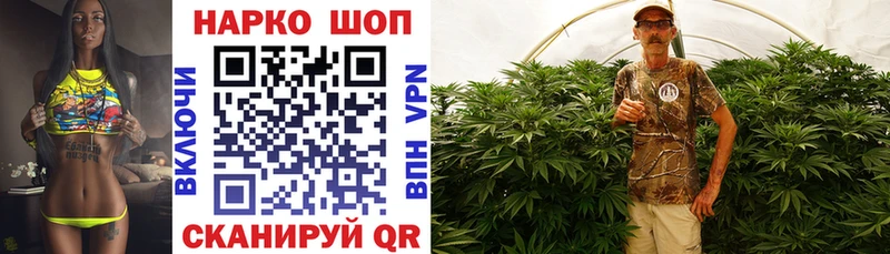 Галлюциногенные грибы Котлас