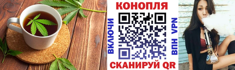 Canna-Cookies марихуана Котлас