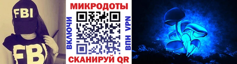 Галлюциногенные грибы мухоморы  закладка  Котлас 