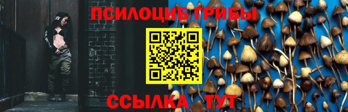 Котлас  купить наркотики сайты  Вход с VPN  Псилоцибиновые грибы ЛСД 